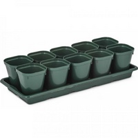 A160467 articul-A160467