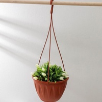 A164279 articul-A164279