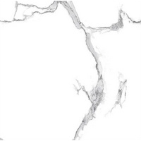 articul-A231785