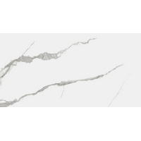 articul-A245723