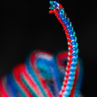 articul-A246346-2