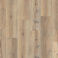 articul-A246628