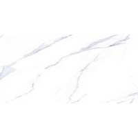 articul-A254556