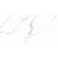 articul-A254557-2
