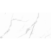articul-A254557