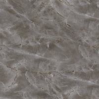 articul-A260596