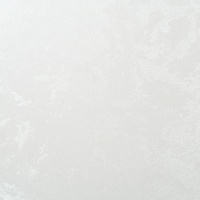 articul-A262585