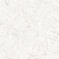 articul-A264581