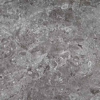 articul-A265251