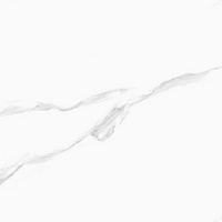 articul-A279936