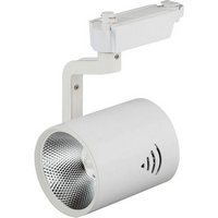 A292544 articul-A292544