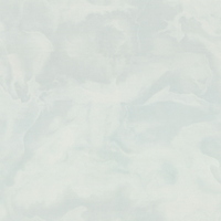 articul-A307310