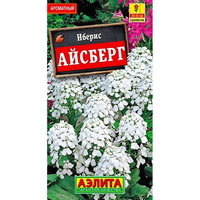 articul-A324504