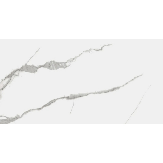 articul-A245723
