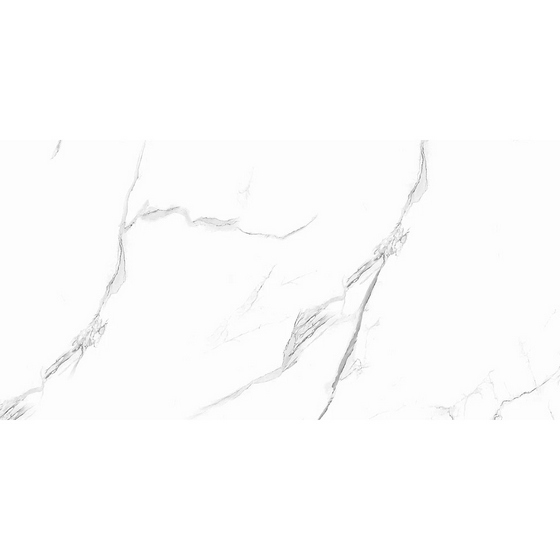articul-A254557