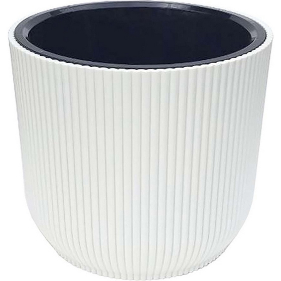 articul-A354905